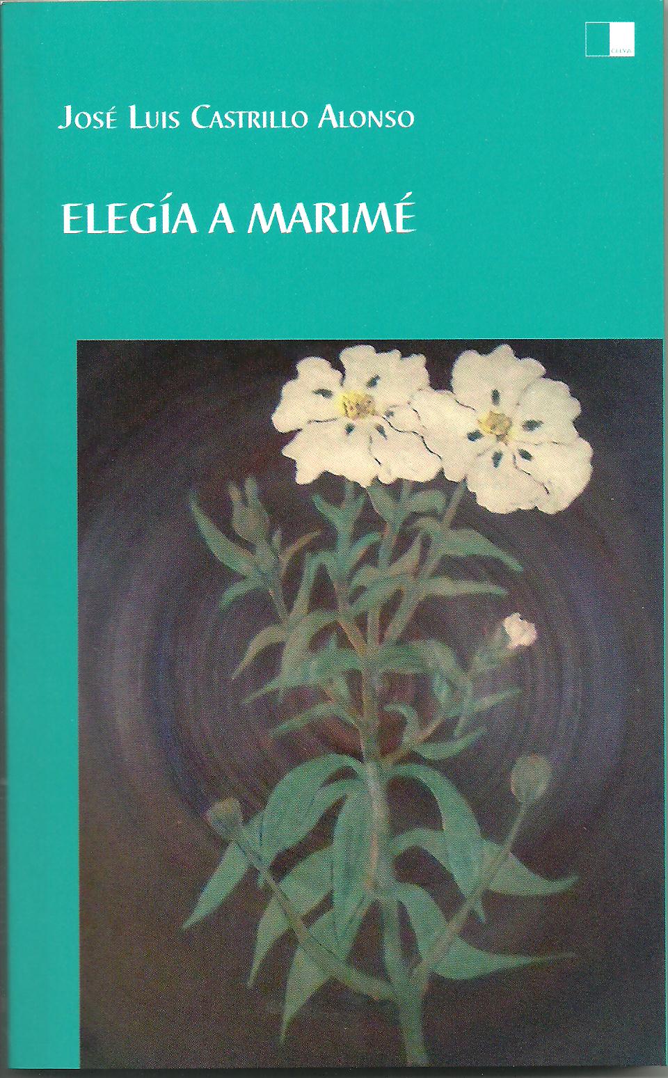 ELEGÍA A MARIMÉ