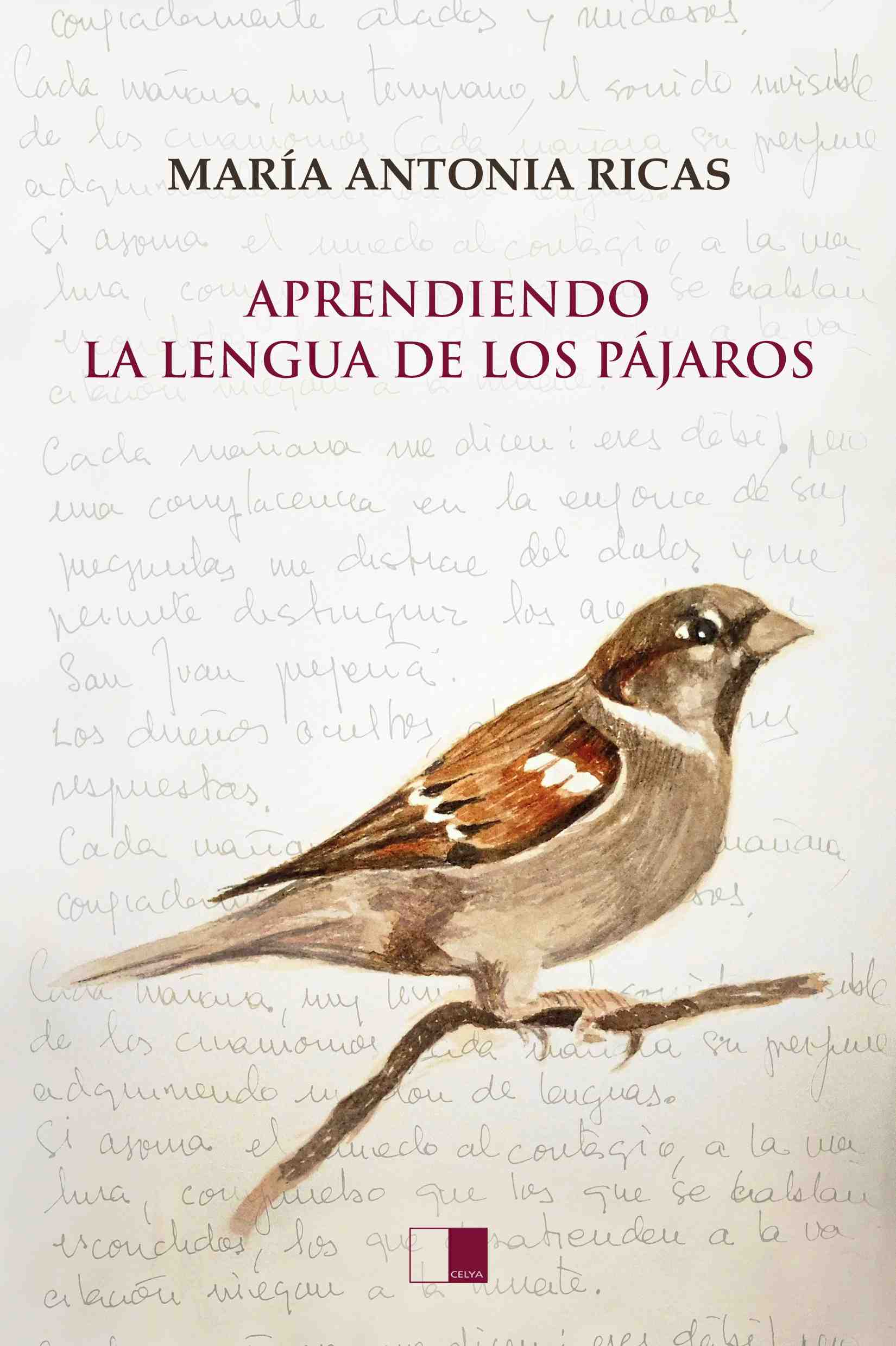 APRENDIENDO LA LENGUA DE LOS PÁJAROS